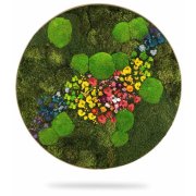 Machový obraz kruh RASTLINY Acebo, priemer 65cm, dubový rám